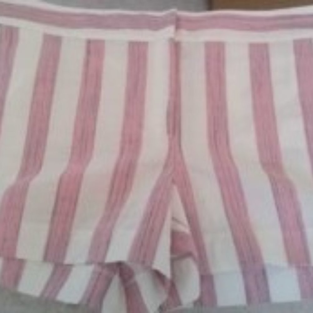 Loft size 14 Shorts NWT
